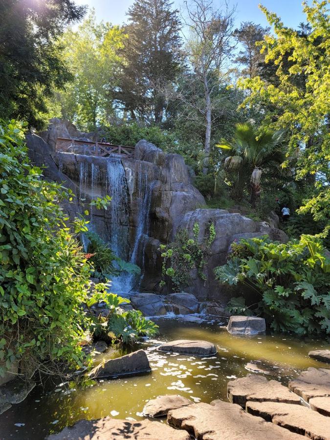 Golden Gate Park Homestay *