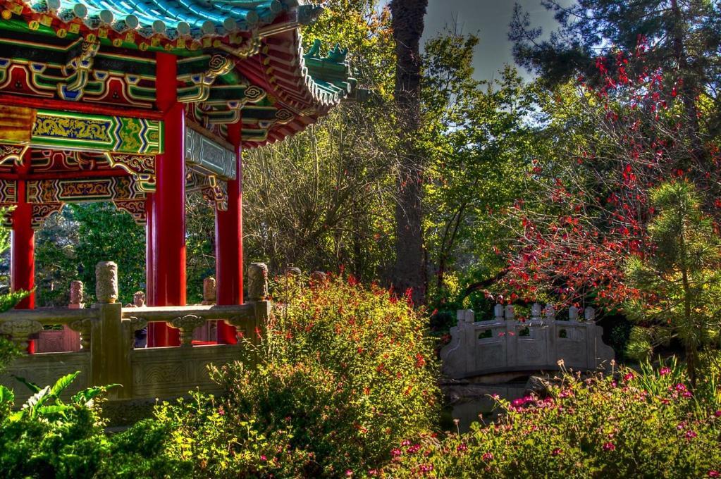 Golden Gate Park *