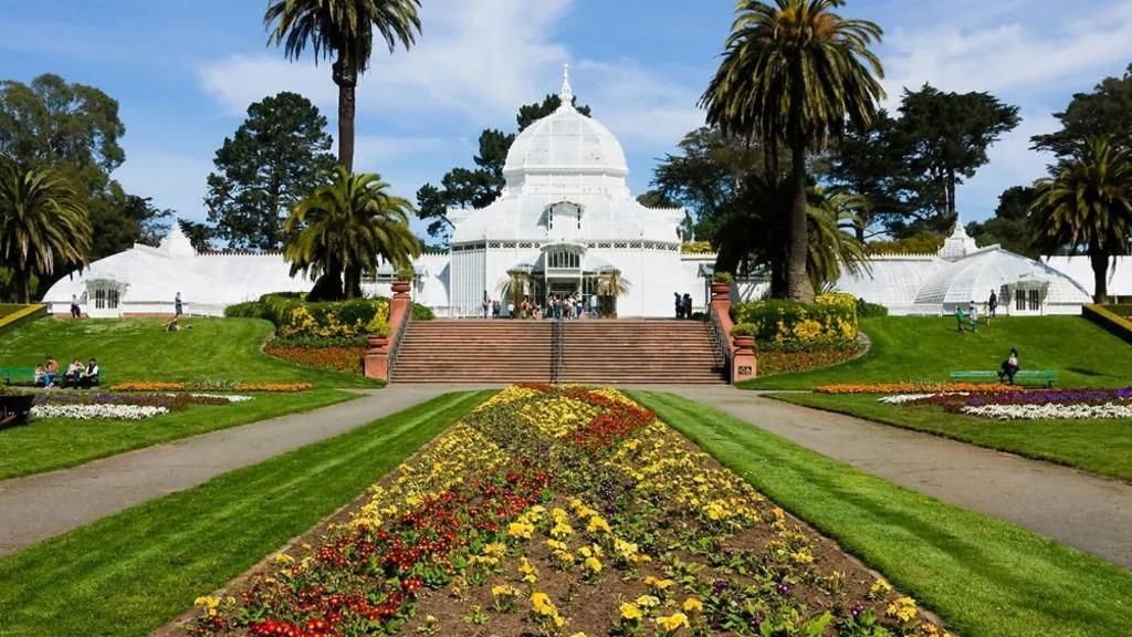Sunny Sf - Cozy, Spacious, Convenient W/parking, A+ Location!!