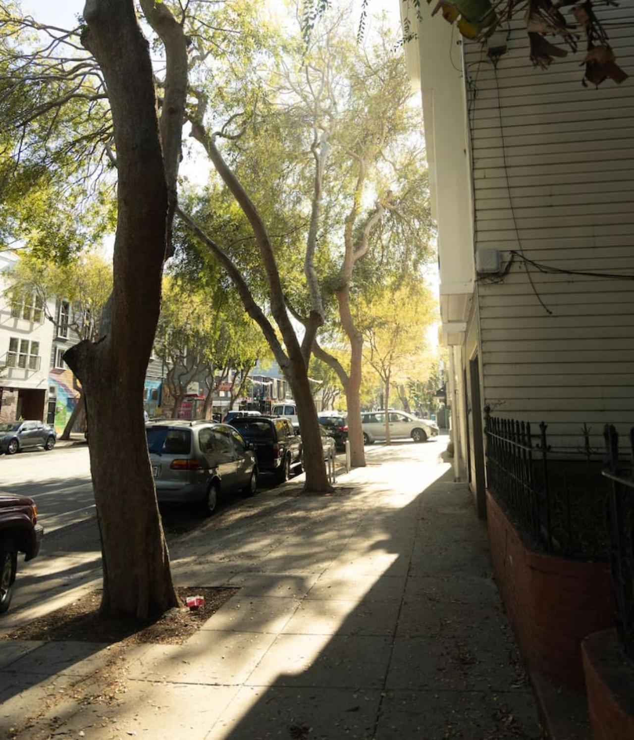 Mid-century Style In The Heart Of The Mission * San Francisco
