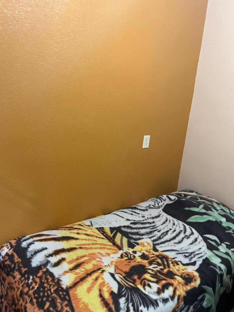 Inn Olive Startup House