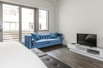Soma Lofts Apartment San Francisco