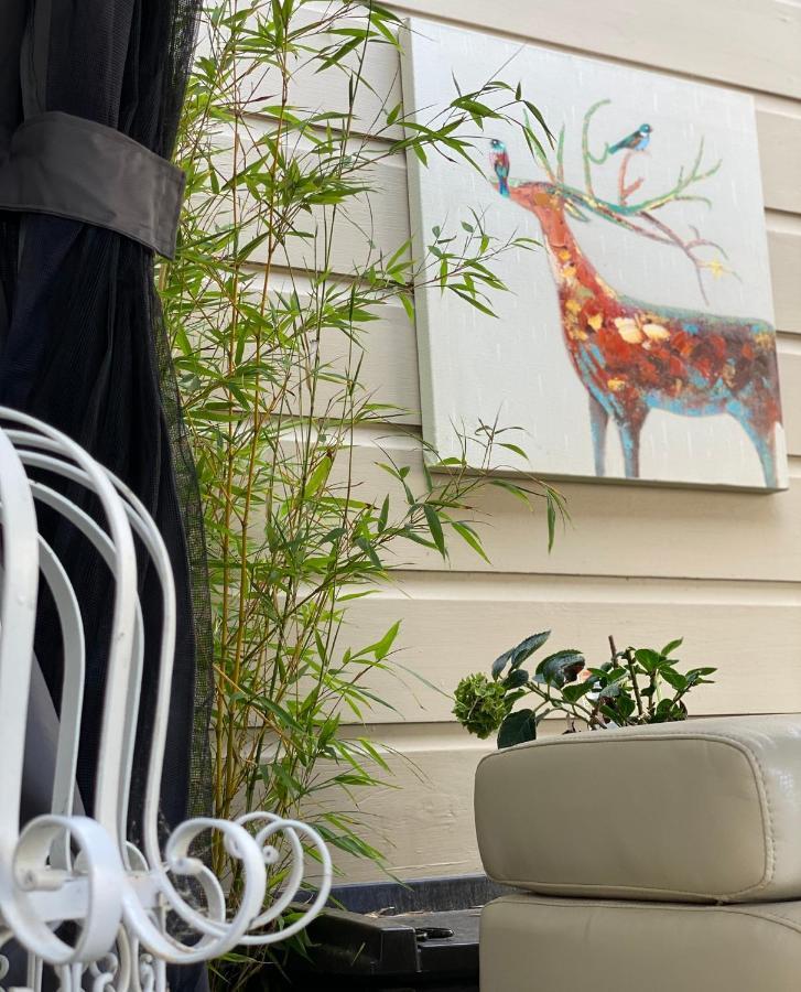 Sf King Nest By The Golden Gate Park And Beach With Private Patio Apartment San Francisco
